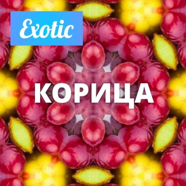 Архив / Exotic КОРИЦА 10мл