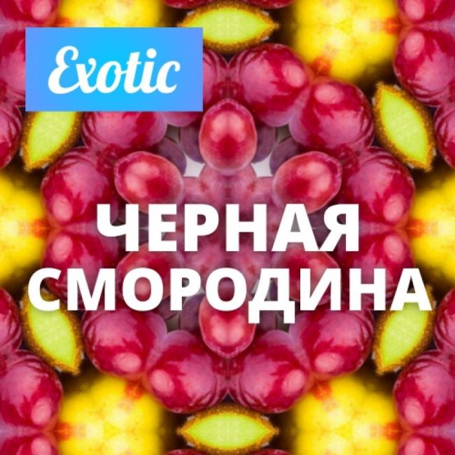 Архив / Exotic ЧЕРНАЯ СМОРОДИНА 10мл