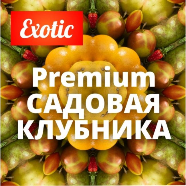 Архив / Exotic Premium САДОВАЯ КЛУБНИКА 10мл